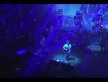 FOALS WE LOVE GREEN3